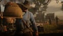 provide professional red dead redemption 2 modding, scripting and developm