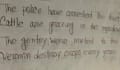 write anything with flawless ,creative hand writing