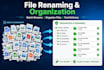 batch rename and organize your files using python