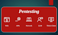 perform vulnerability assessment and penetration testing