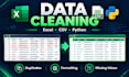 clean and format excel CSV data professionally
