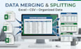 clean, format, merge, split excel data