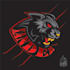 community and guild logo