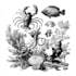 detailed antique engraving and classic etched illustrations