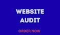 professionaly audit your website