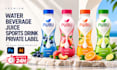 design a premium water bottle label and beverage packaging