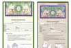 provide professional pakistan visa application assistance and guidance
