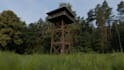 make any 3d model you need at an intermediate level