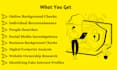 provide professional osint and online background research