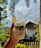 do professional and stunning photography