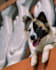editor de adove lightroom