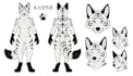 draw furry ref sheet, fursona oc, anthro ref sheet, or nsfw reference sheet