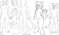 draw a custom furry character reference sheet