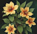 draw botanical illustration flower, plant