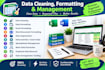 do accurate data entry and web search