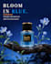create cinematic luxury perfume  ads