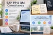 provide sap pp consulting, configuration and troubleshooting