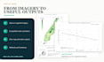 create ndvi and vegetation index maps from satellite imagery