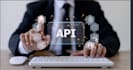integrate apis into your python application