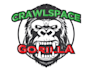 design wonderful gorilla logo for you