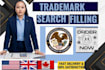 draft a professional response to your uspto office action