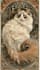 illustrations of magical cats