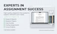 write the assignment as a professional assignment writer