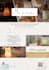 design a professional and customized flyer