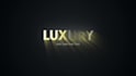 design a cinematic logo animation for your brand