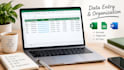 do accurate data entry and excel spreadsheet work