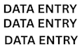 professional data entry services