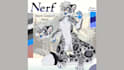 create a furry fursona reference sheet and nsfw character design