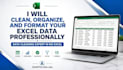 clean, organize, and format your excel data professionally