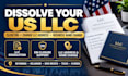 dissolve your US llc, close ein and file llc dissolution