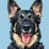 draw a custom digital pet portrait from photo