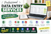 accurate data entry, excel data entry, copy paste and web research