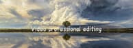do professional youtube and tiktok video editing