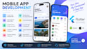 develop a professional flutter apps