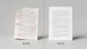 proofread and polish your chinese text professionally