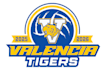design outstanding tiger logo