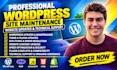 do professional wordpress site maintenance website updates and technical support