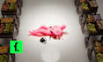 create professional 3d scenes like fern or imperial