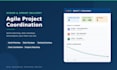 professionally manage and coordinate your IT project