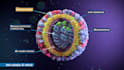 3d medical animation virus cells scientific explainer video