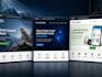 do a professional small business website