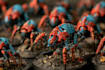 paint your warhammer miniatures mini painting