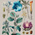illustrate best botanical illustration and art