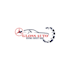 design a professional car detailing and auto care logo