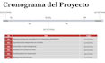 provide project management, ms project schedules, and risk controls