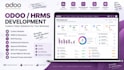 build scalable websites, saas platforms and odoo business solutions